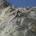 in der "Faultierverschneidung"