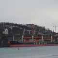 in Narvik