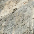 "Rohe Gewalt & rohe Eier"