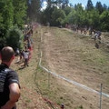 whip it!