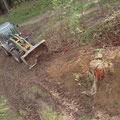 Shaping Dirtline