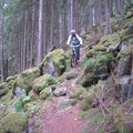 Märchenwald