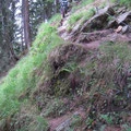 Corner