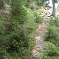 zt. bleibt der Trail im Urzustand