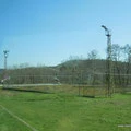 Wimbledon Junglecamp
