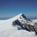 Skolio