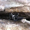 der graue Dragoncam klemmt sich durch den Dreck